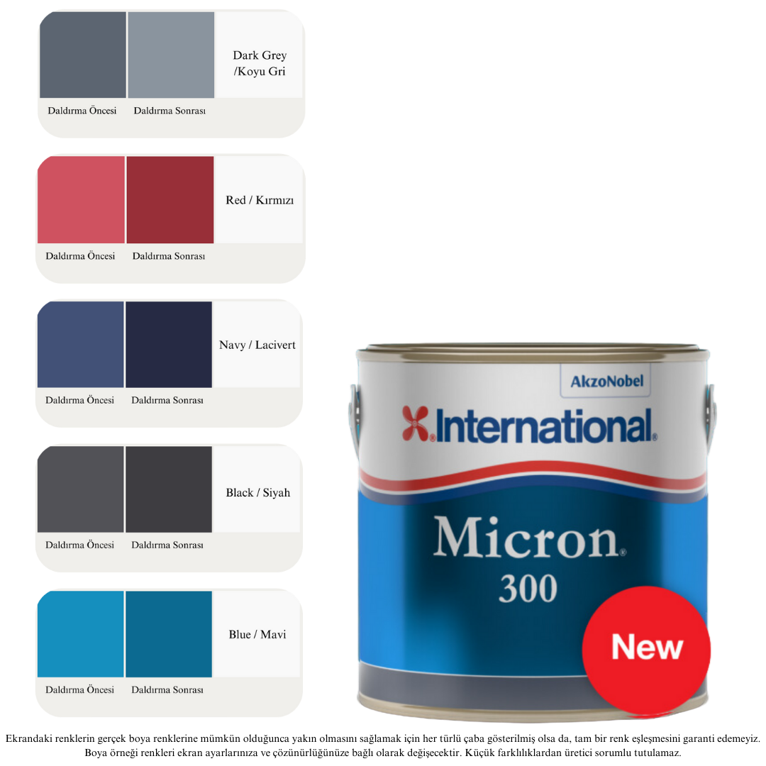 Micron 300