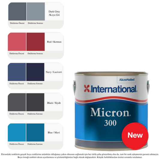 Micron 300