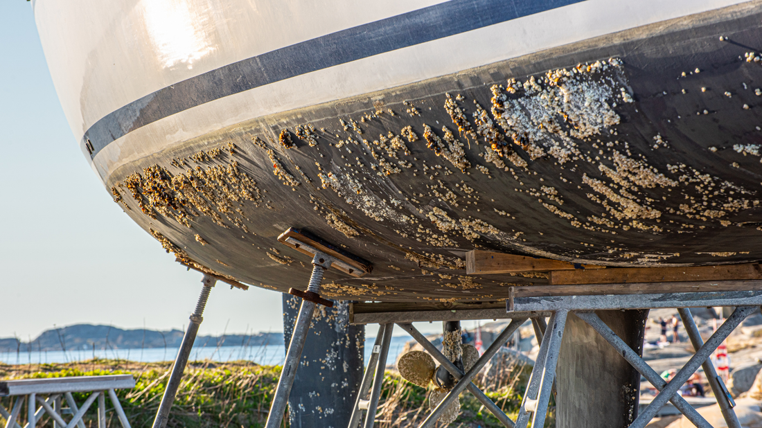 Antifouling Boya ve Özellikleri: Teknenizi Kir ve Yosunlardan Koruyun